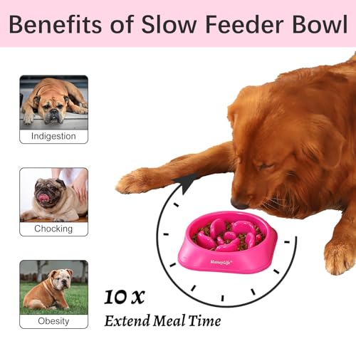 MateeyLife Slow Feeder Dog Bowls, Anti-Choking Puzzle Dog Food Bowls, Anti-Slip Interactive Feeding Slow Down Eating, Bloat Stop Maze Dishes for Medium Large Breeds Purple - color: J-Purple, size: Medium