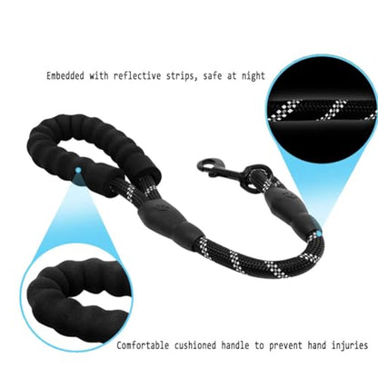 Dog Leash with Soft Padded Handle & Silver Reflective Strips - 24-Inch Heavy Duty Nylon Dog Lead, Anti-Chew Layer, 360° Swivel Clip for Tangle-Free Walking (Black)