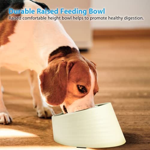 Uppetly Tilted Slanted Dog Bowl 1 Cup, 15° Tilted Stainless Steel Dog Cat Food Bowl, Non-Slip & Non-Spill Pet Feeder with Elevated Detachable Melamine Stand, Easy to Get Food Dish, Medium White - color: White-1Cup