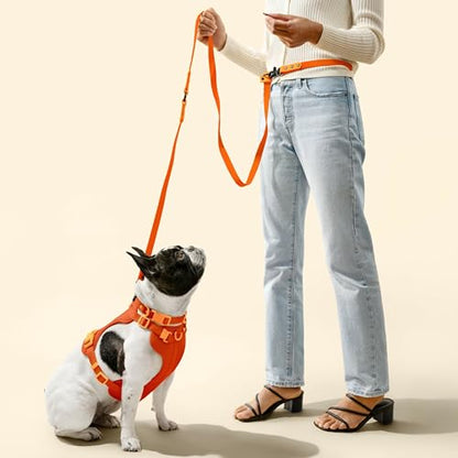 HNS1001A Arlo Small Adjustable Soft Padded No Pull Pet Harness with 3 Buckles and 3 Leash Clips, Aperol - color: Dark Orange, size: Small (Chest: 14 - 22")