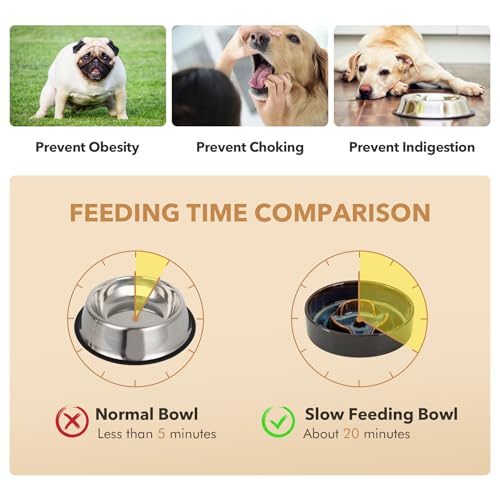 Havniva 0.9 Cup Elevated Slow Feeder Dog Bowls, 6.1” Dog Slow Feeding Bowls + 6.1” Ceramic Dog Water Bowls Set with Acacia Wood Stand, Dog Food Bowls Puzzle Feeder for Small Dogs Non-Slip Anti-choking - color: 2 x Starry Sky + Stand - A, size: S- 6.1inch