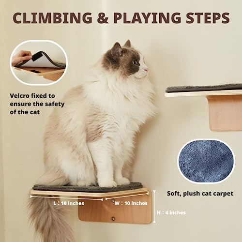 LIORCE Cat Wall Shelf with Two Steps - Curved Cat Shelves and Perches for Wall (Large Size) - Wall Mounted Cats Furniture for Sleeping, Playing, Climbing, and Lounging