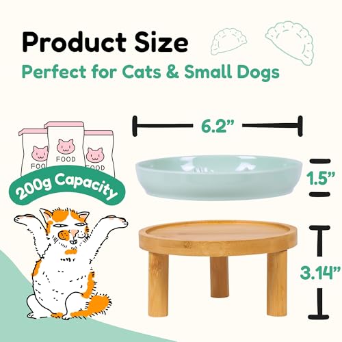 Slow Feeder Bowl, 6.3″ Elevated Cat Bowl with Stand, Melamine Wide Shallow Food Bowl, Whisker-Friendly Raised Plate, Wet Food Feeder for Slow Eating (Green) - color: Green, size: 1 Pack with Stand - 6.3''W x 1.5''H