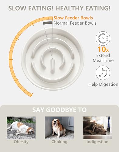 Ceramic Slow Feeder Dog Bowls, 2.0 Cups Slow Feeder for Medium Dogs, Puzzle Maze Bowl to Slow Down Eating, 30oz, 8in, White - color: White, size: 8 Inches