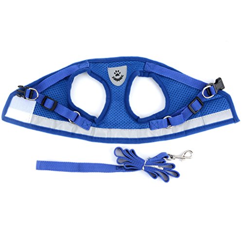 Zunea Dog Harness & Leash Set - Small Dogs & Cats (7-11lbs), Blue, Mesh, Reflective, Adjustable, No Pull, Quick Release, Step-in Vest Harness - color: Blue, size: M (Chest:15.5 Inch, for 7-11lbs)