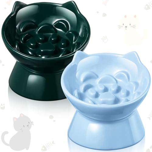 Funnymoom 2 Pcs Ceramic Raised Slow Feeder Cat Bowl, 5.91inch Elevated Cat Slow Feeder Bowl Tilted Anti Vomiting for Dry Wet Food and Water Easy to Clean High Edge(Dark Green, Blue) - color: Dark Green, Blue