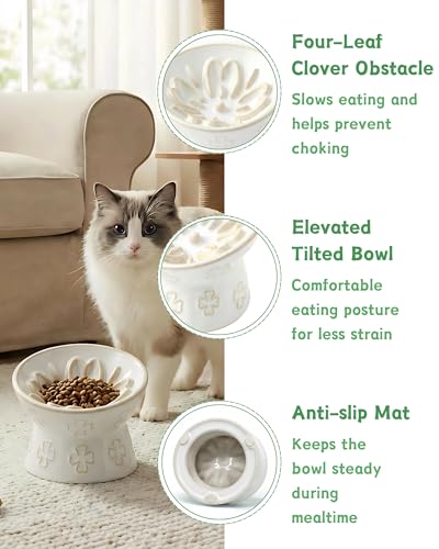 Ceramic Slow Feeder Cat Bowl, 15° Tilted Elevated Cat Slow Eating Bowl for Neck Protection, Anti Vomiting Dog Slow Feeder, Whisker Friendly & No Black Chin for Cats and Small Dogs, Jun Blanc - color: 03-Jun Blanc