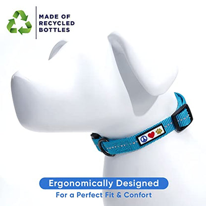 Pawtitas Recycled Dog Collar with Reflective Stitched Puppy Collar Made from Plastic Bottles Collected from Oceans Extra Small Teal Turquoise Wave - color: Recycled Teal, size: X-Small (Pack of 1)