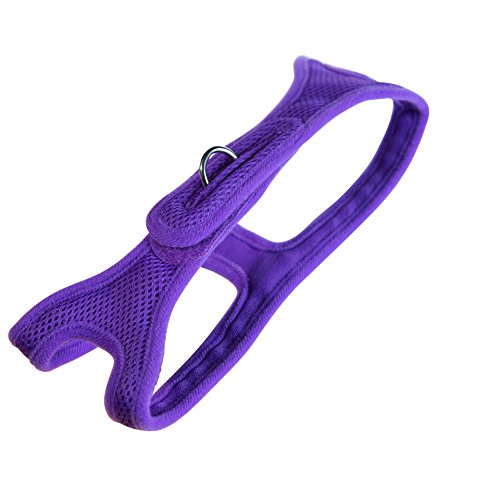 Velpro Mesh Pet Shoulder Harness Collar, 13"-14", Purple - color: Purple, size: Small - 13"-14" Chest