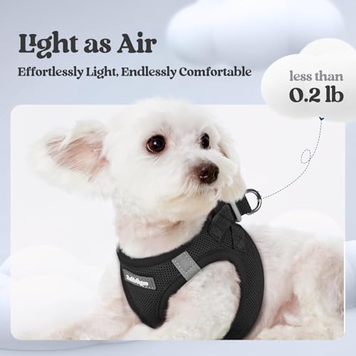 rabbitgoo Dog Harness Small Sized and Leash Set, Step in Soft Light Puppy Vest, Breathable Mesh Pet Harness, Reflective for Safe Easy Walking, Black M - color: Black, size: M (chest: 16 - 18.5")
