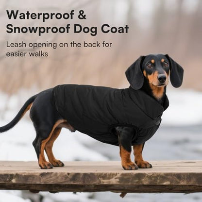ASENKU Windproof Dog Winter Coat Waterproof Fleece Jacket Cold Weather Pet Apparel for Small Medium Large Dogs (Black, L) - color: Black, size: Large
