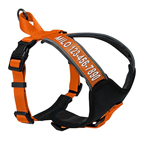 Pawtitas Reflective Padded Dog Harness for Small Dogs – Adjustable Puppy Step-in Vest | Fits Chest 18–22 in | No Pull Personalized Training Harness | S | Orange - color: Orange, size: Personalized Small (Pack of 1)