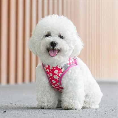 Step in Dog Harness No Pull Flower Adjustable Soft Mesh Padded Reflective Pet Vest Harness and Leash Set for Small Medium Dogs - color: Rose red, size: S(neck:10.5"-12",chest:13.5"-16")