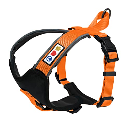 Pawtitas Reflective Padded Dog Harness for X-Small Dogs – Adjustable Puppy Step-in Vest | Fits Chest 14–18 in | No Pull Training Harness | XS | Orange - color: Orange, size: X-Small (Pack of 1)