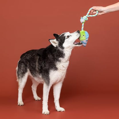 Fringe Studio Plush Dog Toy with Rope, Cone-FIDENCE is Yummy, Pet Shop Collection (314528) - color: Cone-Fidence Is Yummy