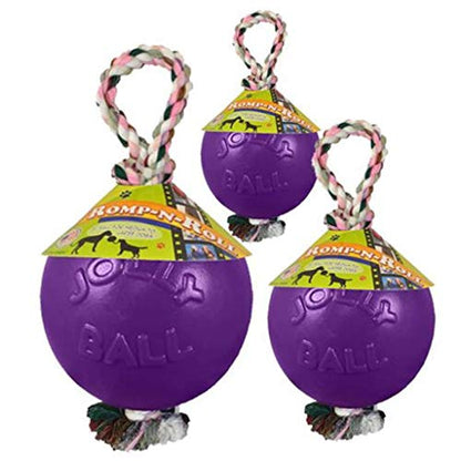 Jolly Pets Romp-n-Roll Rope and Ball Dog Toy, 8 Inches/Large, Purple, Large Breeds - color: Purple, size: Large (8 in)