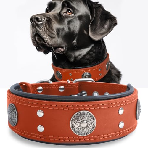 Leather Dog Collar, 2 inches Wide Heavy Duty Genuine Leather Collars, Handmade, Soft, and Luxury, Eye-catching Best Choice for Large and Medium Breed Dogs, Orange 15-19 in - color: Orange, size: 15-19 in