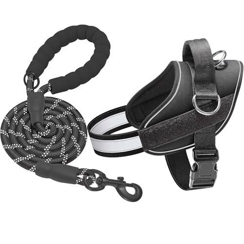 Haapaw Essential Dog Harness, No Pull Pet Vest with 3 Leash Clips, No Choke, Reflective, Adjustable and Padded, for Easy Walking and Training for Small Dogs(XS, Black) - color: Black, size: XS