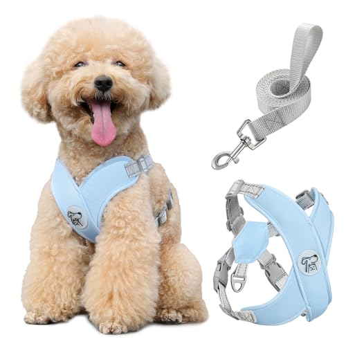 Pawaboo Small Dog Harness and Leash Set, Puppy Harness X-Frame No Pull No Choke, Dog Vest Harness Adjustable for Small Medium Sized Dogs, Soft Breathable Pet Harness for Walking Outing (M, Blue) - color: A-Blue, size: M(Neck 15.7-18.9" Chest 14.2-23.6")