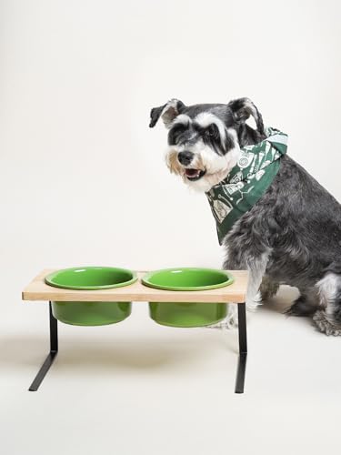 Elevated Dog Bowls, Raised Dog Bowl Stand with Two 6.5 inch Ceramic Bowl, Non-Slip Puppy Food and Water Bowls, Dogs Feeder for Small and Medium Breed,Green - color: Green, size: 6.5inch