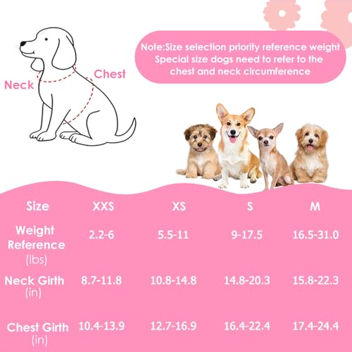Lukovee Puppy Harness and Leash Set, No Pull Lightweight Soft Suede Adjustable Pet Harness Vest with Snap Buckle for Puppy Small and Medium Size Dog (Pink-S) - color: Pink Daisy, size: Small ( 9-17.5lb )