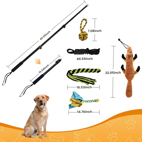 Flirt Pole for Dogs, Interactive Dog Toys Extendable Teaser Wand with Lure Chewing Toy, Chase and Tug of War for Small Medium Large Dogs Training Playing Exercise - size: 40.5Inch Pole-Black