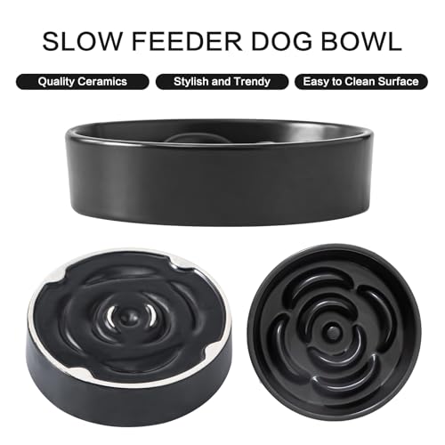 6'' Ceramic Slow Feeder Dog Bowls - Petal Shape Modern Dog Food Dish for Cats and Small Breed Dogs, Puzzle Maze Bowl to Slow Down Eating, Anti-Gulping, Dishwasher & Microwave Safe, Black - color: Black, size: 6 inch
