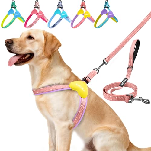 Kazazoo No Pull Small Dog Harness and Leash Set, Adjustable Puppy Soft Vest Harness with Breathable Mesh Padded, Reflective Lightweight Harness with Buckle for Small Medium Dogs, Pink M - color: Purple&Pink, size: M
