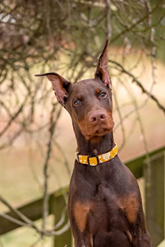 Dog Collar for Small Medium & Large Dogs - Heavy Duty Cotton, Long Lasting, Adjustable, Strong and Durable Puppy Quick Release Buckle - Yellow Spring Quality Collar - color: Yellow Spring, size: Small