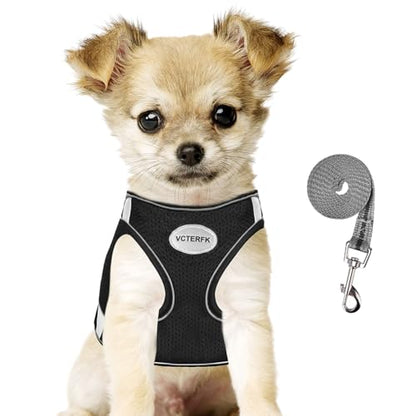 Small Dog Harness and Leash Set, Step-in Puppy Vest with Breathable Soft Padded Mesh, Walking Reflective Pet Harness for Small Medium Dogs - color: Black, size: Medium (Chest: 12" - 15.5")