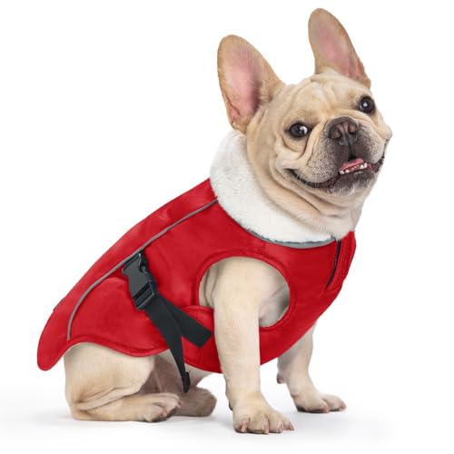 EMUST Winter Dog Jacket, Windproof Dog Apparel for Cold Weather, Reflective Coats for Dogs, Warm Puppy Jacket for Cold Winter, Red S - color: Red, size: Small