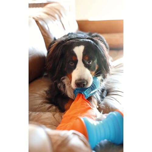GURU Pet: Bonanza Rocket - Medium - Dog Toy, Blue & Orange, Hides & Dispenses Treats, Durable, Squeaks-Crinkles-Floats, Interactive Tug-Toss-Retrieval