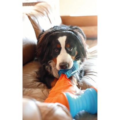 GURU Pet: Bonanza Rocket - Medium - Dog Toy, Blue & Orange, Hides & Dispenses Treats, Durable, Squeaks-Crinkles-Floats, Interactive Tug-Toss-Retrieval