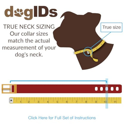 dogIDs Personalized Soft Designer Leather Dog Collar - Adjustable, Odor Resistant, Built-in Custom Laser Engraved Rivet on Name Plate - Turquoise - 1/2 in Wide x 7 in Neck - color: Turquoise, size: 1/2 in wide x 9 in (its 6-8 inch necks)