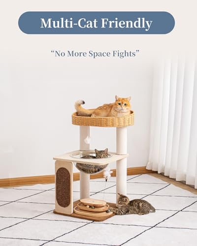 Modern Cat Tree for Large Cats, Modern Cat Tree Tower with Wide Shelves Cotton Scratching Posts, Super Sturdy Base, Cozy Perches, and Interactive Toys for Indoor Kittens 31-Inch - color: S81D