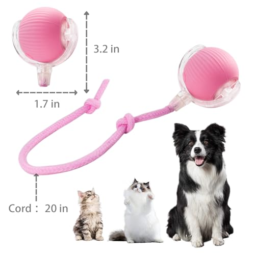 KumCinn Interactive Dog Ball for Small Medium Dogs, Automatic Self Moving Cat Toys Ball for Indoor Cats, 360° Rolling Electric Pet Ball, Fast Smart Motion Activated Toy (Pink) - color: PINK