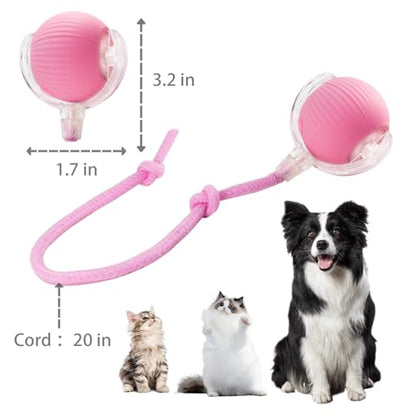 KumCinn Interactive Dog Ball for Small Medium Dogs, Automatic Self Moving Cat Toys Ball for Indoor Cats, 360° Rolling Electric Pet Ball, Fast Smart Motion Activated Toy (Pink) - color: PINK