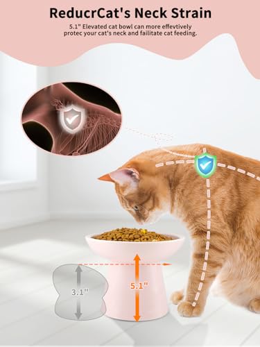 LoeJan Elevated Cat Food and Water Bowls Set, Extra Wide and Raised Ceramic Feeder, Anti-Vomit Whisker-Free Pressure Feeding Bowl for Kittens Adult Cats Small Dogs (Pink, Bowl Set) - color: Pink, size: 2 Pack (Food & Water Bowls)