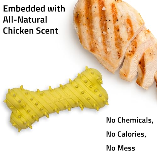 Playology Dog Toys | Teething Bone for Large Puppies and Young Dogs | Chicken Scented Jumbo Dog Bone Chew Toy | Teething Puppy Essentials - size: Jumbo, style: Chicken