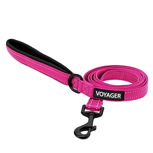 Best Pet Supplies Voyager Reflective Dog Leash or Collar with Neoprene Handle, for Small, Medium, and Large Breed Puppies, Cute and Heavy Duty for Walking, Running and Training - Fuchsia (Leash), S - color: Leash (Fuchsia), size: Small (5/8" x 5ft)