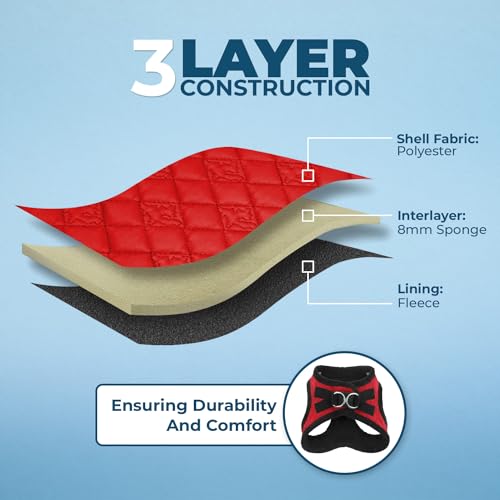 Best Pet Supplies Voyager Step-in Plush Dog Harness - Soft, Step in Vest Harness and Reflective Dog 5 ft Leash Combo with Neoprene Handle for Small and Medium Dogs, Red Plush, XS - color: Harness Leash Set (Red Plush), size: XS (Chest: 13 - 14.5")