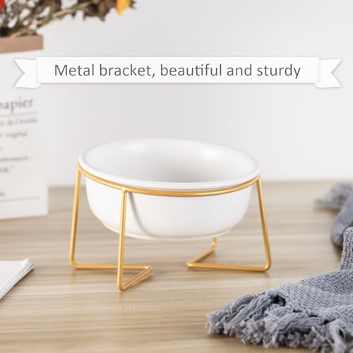 White Small Ceramic Tilted Elevated Cat Dog Bowl Raised Cat Food Water Bowl Dish Pet Comfort Feeding Bowls with Gold Iron Stand - color: White, size: Small