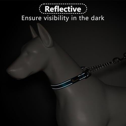 Plutus Pet Martingale Dog Collar with Stainless Steel Chain and Reflective Nylon, Adjustable No Pull Training Collar, for Small Medium, and Large Dogs, Cyan, S - color: Cyan, size: Small