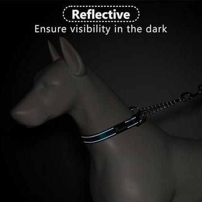Plutus Pet Martingale Dog Collar with Stainless Steel Chain and Reflective Nylon, Adjustable No Pull Training Collar, for Small Medium, and Large Dogs, Cyan, S - color: Cyan, size: Small
