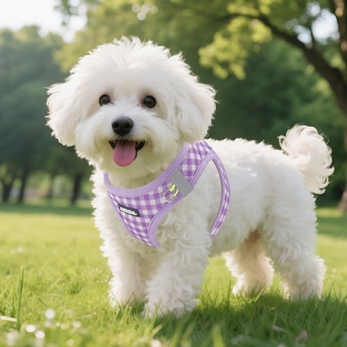 AIITLE Adjustable Dog Vest Harness Set – No-Pull Design, Plaid Print & Reflective Safety– Fits Poodles, Shih Tzus & Medium-Sized Dogs up to 38lbs (M, Purple) - color: Purple, size: M