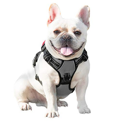 PHOEPET No Pull Dog Harness Medium Reflective Front Clip Vest with Handle,Adjustable 2 Metal Rings 3 Buckles,[Easy to Put on & Take Off](XS, Grey) - color: Gray, size: Extra Small