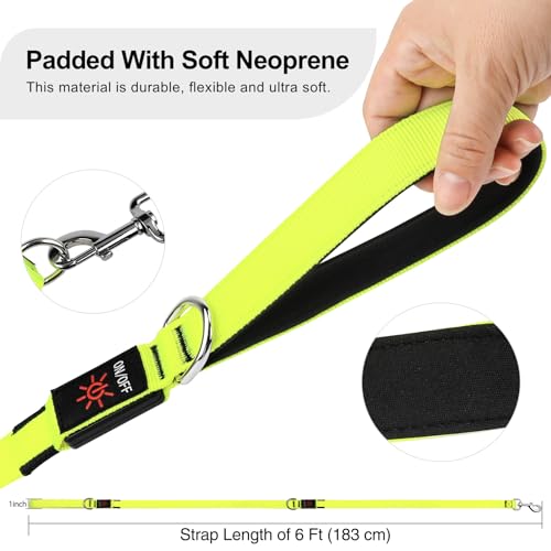 Colaseeme Light Up Dog Leash, LED Pet Leashes USB Rechargeable, Glow Safety Dogs Lights at Night (6FT,Green) - color: Green, size: 6FT