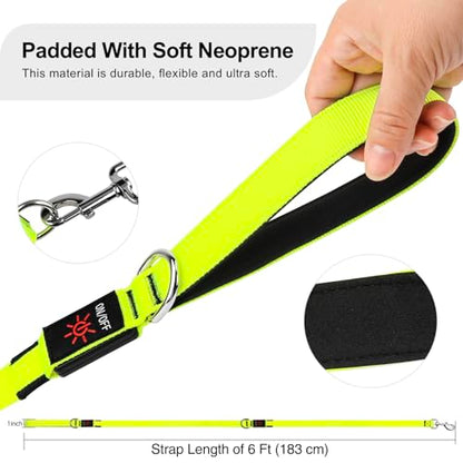 Colaseeme Light Up Dog Leash, LED Pet Leashes USB Rechargeable, Glow Safety Dogs Lights at Night (6FT,Green) - color: Green, size: 6FT
