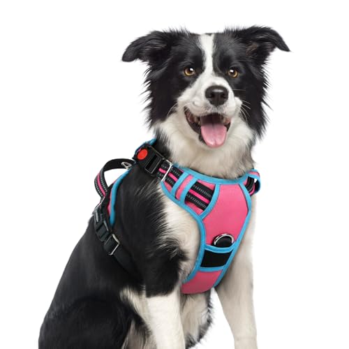 rabbitgoo Dog Harness Medium Sized, No Pull Dog Vest with 3 Buckles, Adjustable Soft Padded Pet Harness with Easy Control Handle and Reflective Strips, Rose Pink & Blue, M - color: Rose Pink & Blue, size: Medium