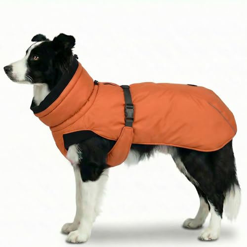 Dog Winter Coat, Warm Puffer Jacket with Fur-Safe Buckle & Leash Hole for Cold Weather, Water-Repellent Snow Vest, Breathable Thermal Apparel for Hiking & Active Dogs (Aurantium, X-Large) - color: Aurantium, size: X-Large